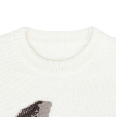 Hidden Face Knit Sweater Frank Ocean